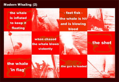 Fig 3: When playing the Whale Chong object, one gets associations to a jigsaw puzzle. The audience-user can put together more coherent layers with corresponding sound, visuals and sub-theme. For instance, here the Chapter Modern Whaling is found.
