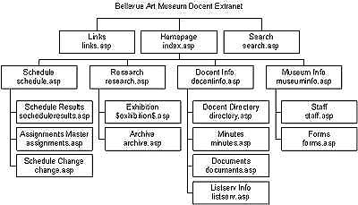 Organizational Chart of the Bellevue Art Museum Docent Extranet