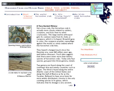 Screen Shot: The first BioBulletin